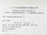 登錄號:F0026182藏品圖，第3張