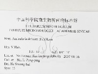 皺木耳藏品圖，第3張