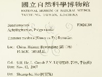 登錄號:F0026184藏品圖，第2張