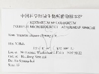 登錄號:F0026185藏品圖，第3張