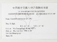 雲芝藏品圖，第3張