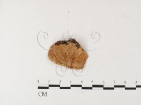 登錄號:F0026187藏品圖，第1張