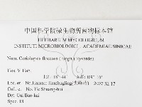 登錄號:F0026188藏品圖，第3張