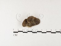 登錄號:F0026188藏品圖，第1張