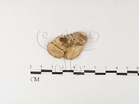 登錄號:F0026188藏品圖，第4張