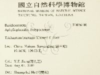 登錄號:F0026190藏品圖，第2張
