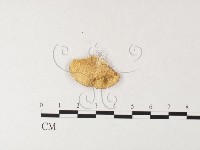 登錄號:F0026190藏品圖，第1張
