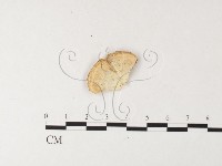 登錄號:F0026190藏品圖，第4張