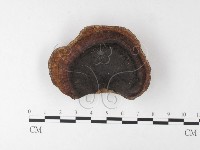登錄號:F0026191藏品圖，第4張
