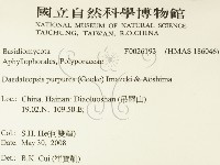 登錄號:F0026193藏品圖，第2張