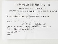 登錄號:F0026193藏品圖，第3張