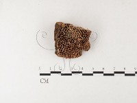 登錄號:F0026193藏品圖，第1張