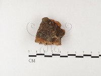 登錄號:F0026193藏品圖，第4張
