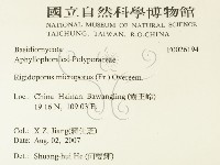 登錄號:F0026194藏品圖，第2張