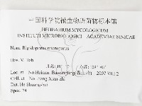 登錄號:F0026194藏品圖，第3張