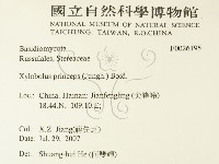 登錄號:F0026195藏品圖，第2張