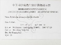 登錄號:F0026195藏品圖，第3張
