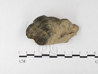 登錄號:F0026195藏品圖，第1張