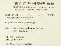 登錄號:F0026196藏品圖，第2張