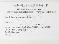 登錄號:F0026196藏品圖，第3張