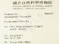 登錄號:F0026197藏品圖，第2張