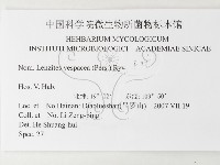 登錄號:F0026197藏品圖，第3張