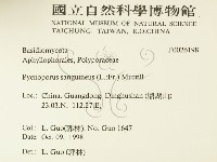 血紅密孔菌藏品圖，第2張