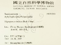 登錄號:F0026200藏品圖，第2張