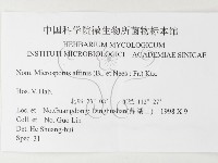 相鄰小孔菌藏品圖，第3張