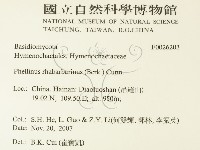 登錄號:F0026203藏品圖，第2張