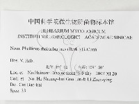 登錄號:F0026203藏品圖，第3張