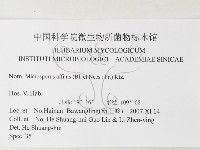相鄰小孔菌藏品圖，第3張
