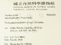 登錄號:F0026206藏品圖，第2張