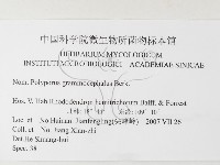 登錄號:F0026208藏品圖，第3張