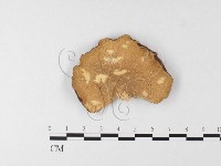 登錄號:F0026208藏品圖，第4張