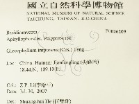 登錄號:F0026209藏品圖，第2張