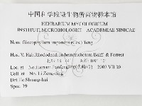 登錄號:F0026209藏品圖，第3張