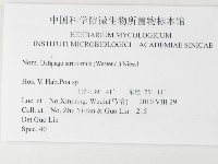 登錄號:F0026210藏品圖，第3張