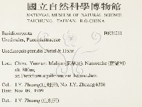 登錄號:F0026211藏品圖，第2張