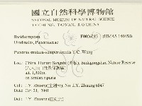 登錄號:F0026213藏品圖，第2張