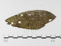 登錄號:F0026213藏品圖，第1張