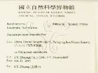 登錄號:F0026216藏品圖，第2張