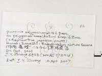 登錄號:F0026216藏品圖，第3張