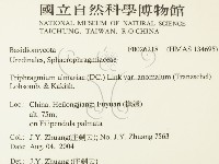 登錄號:F0026218藏品圖，第2張