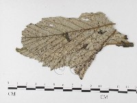 登錄號:F0026218藏品圖，第1張