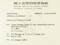 登錄號:F0026219藏品圖，第2張