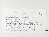 登錄號:F0026219藏品圖，第3張