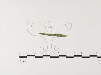 登錄號:F0026219藏品圖，第1張