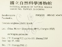登錄號:F0026221藏品圖，第2張