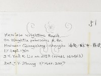 登錄號:F0026221藏品圖，第3張